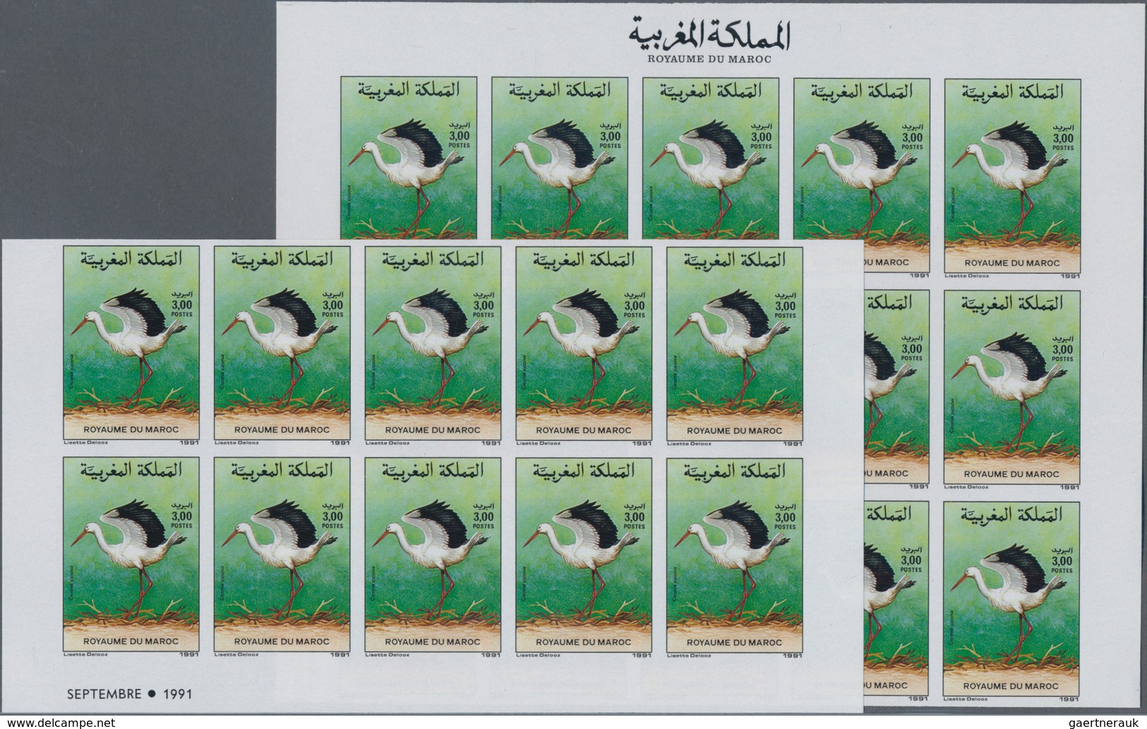 Thematik: Tiere-Vögel / Animals-birds: 1991, Morocco. Complete Set BIRDS (2 Values) In 2 IMPERFORATE - Autres & Non Classés