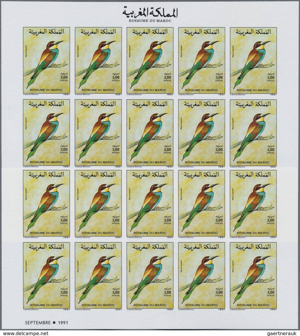 Thematik: Tiere-Vögel / Animals-birds: 1991, Morocco. Complete Set BIRDS (2 Values) In 2 IMPERFORATE - Autres & Non Classés