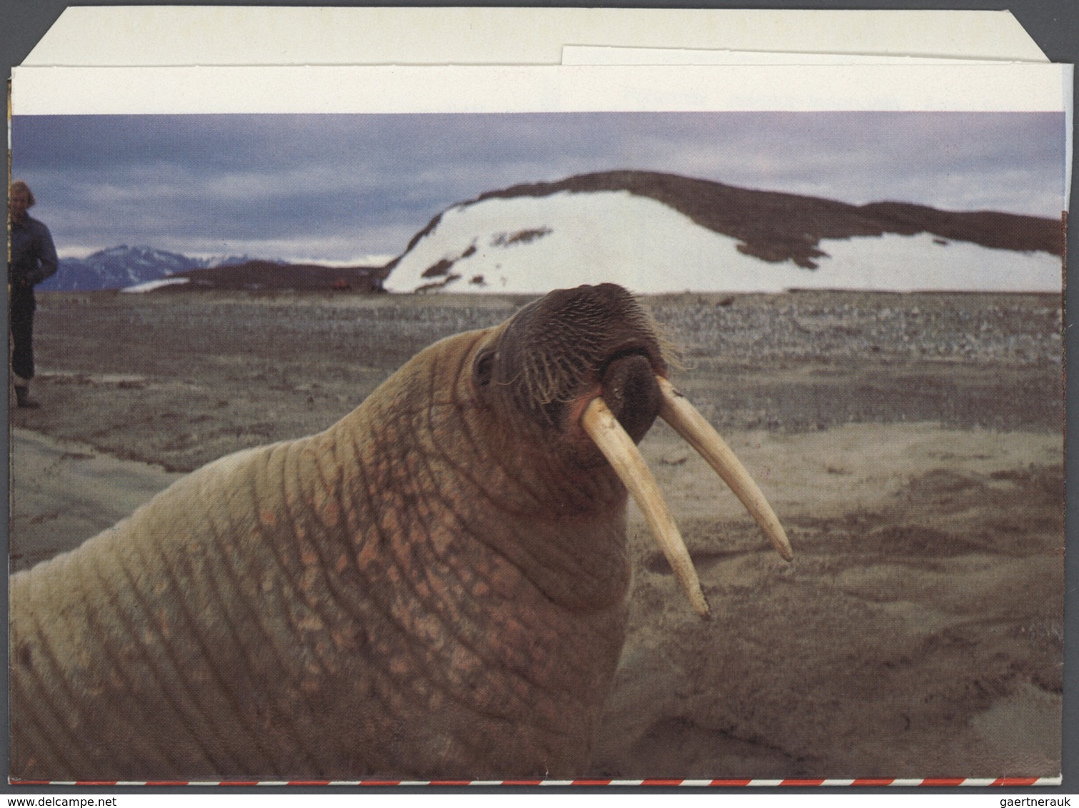 Dänemark - Grönland: 1972/81 AEROGRAMMES Ca. 153 Photo Airletters, Many Unused And Unfolded Items Sc - Briefe U. Dokumente