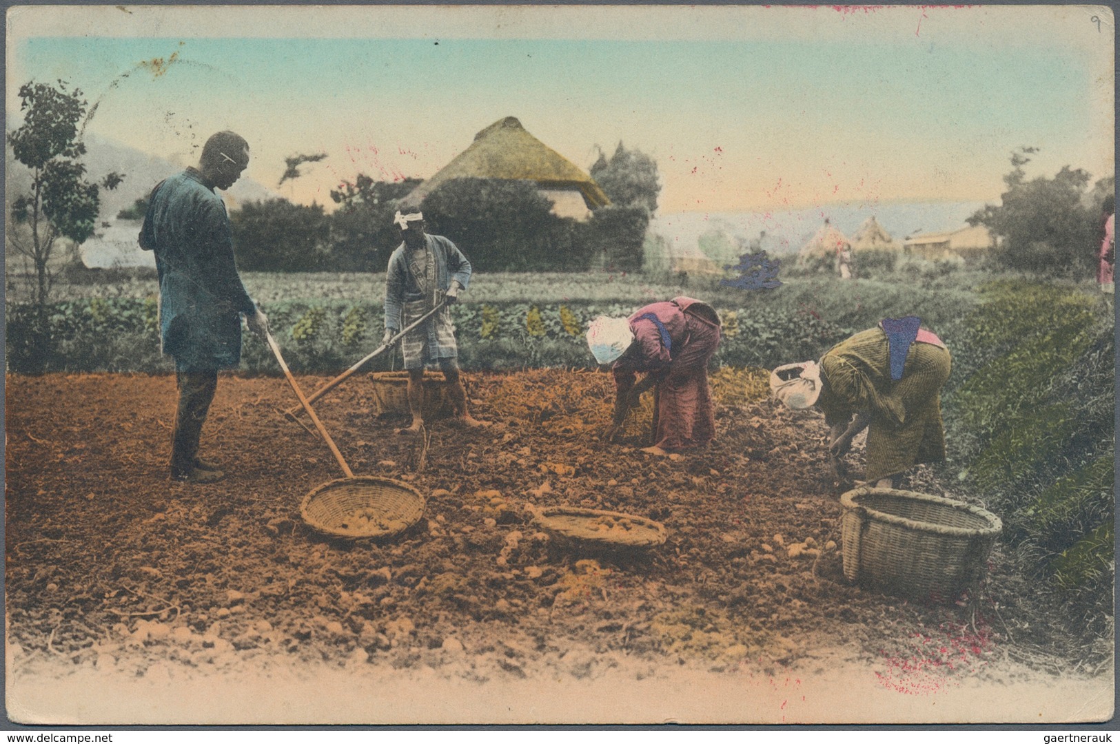 Deutsche Kolonien - Kiautschou - Kriegsgefangenenpost: 1916/1918, Nagoya/Bando, Lot Von Drei Kriegsg - Kiautschou