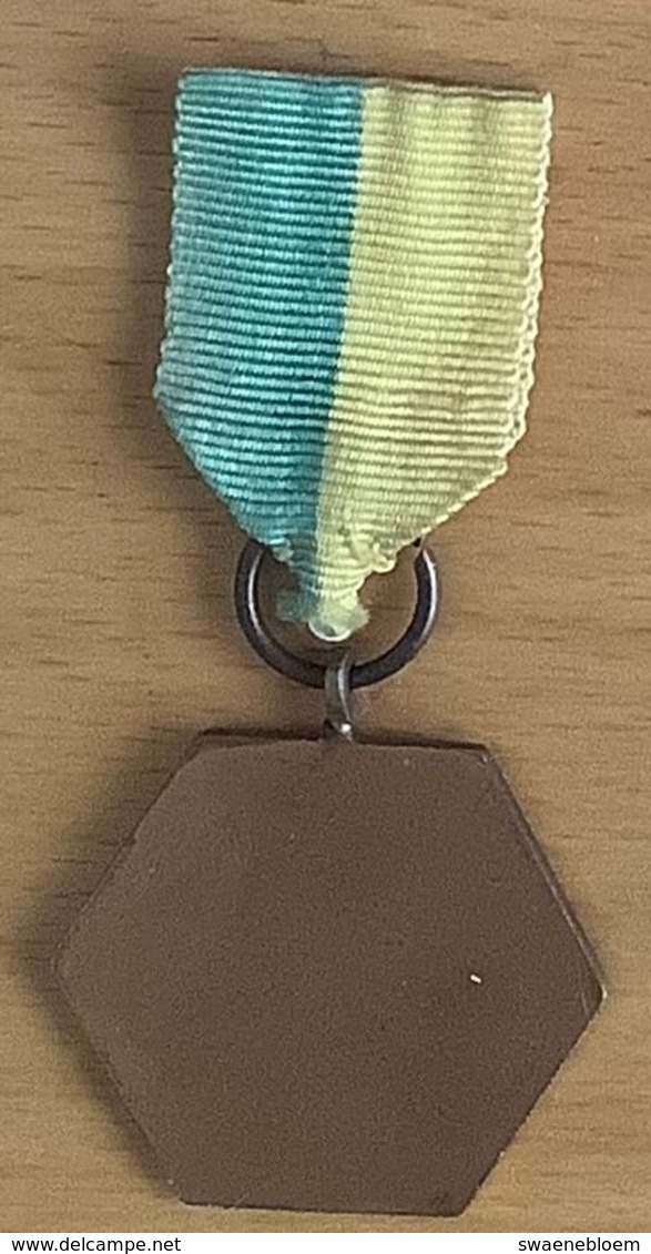 NL.- Medaille Van De Wandeltocht. VALKENHEIDE - Andere & Zonder Classificatie