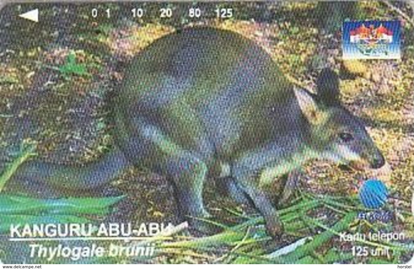 Indonesien - IND 344 Wildlife - Kanguru - 125 UNITS - Indonésie