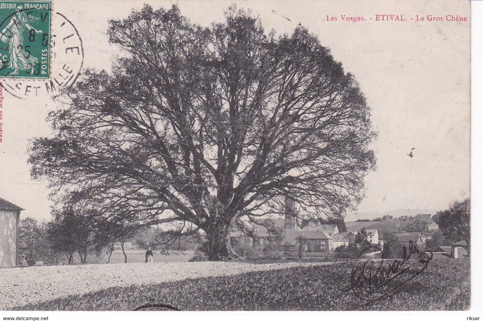 ETIVAL(ARBRE) CHENE - Etival Clairefontaine