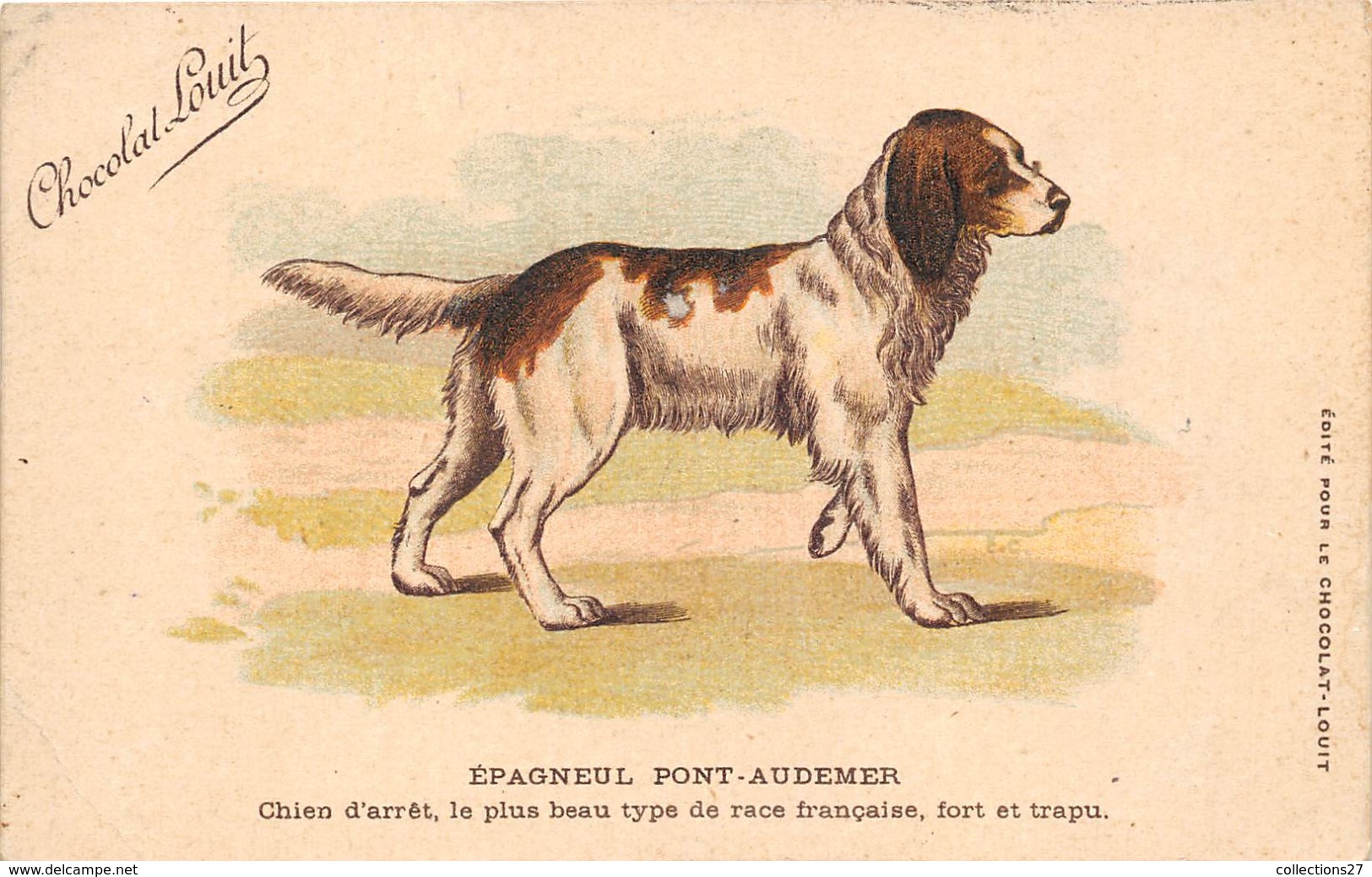 27-PONT-AUDEMER- EPAGNEUL- CHIEN D'ARRÊT , LE PLUS BEAU TYPE DE RACE FRANCAISE , FORT ET TRAPU- CHOCOLAT LOUITS - Pont Audemer