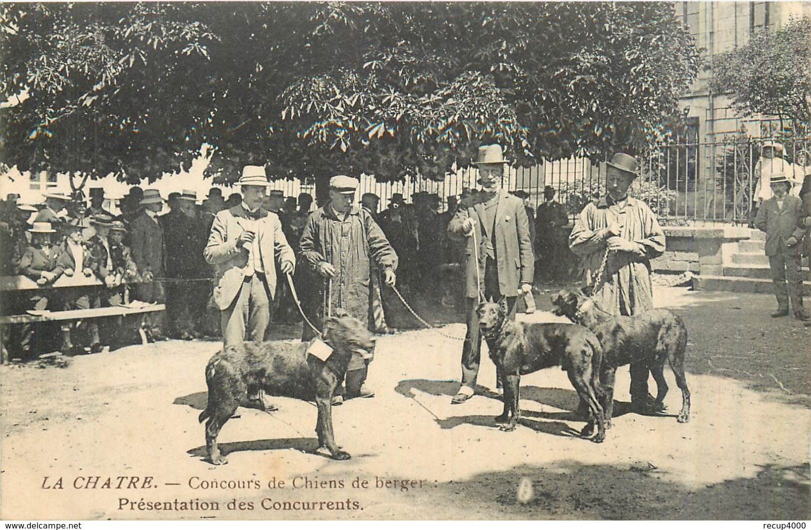 36 LA CHATRE  Concours De Chiens De Berger Présentation Des Concurrents       2scans - La Chatre