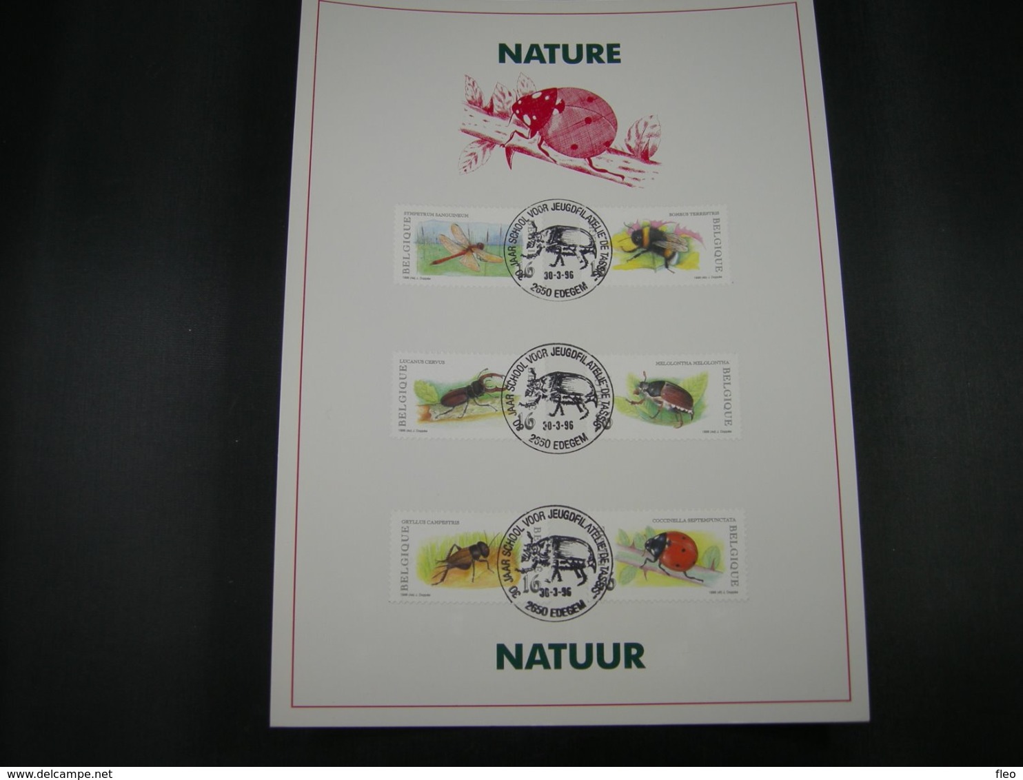 BELG.1996 2630 2631 2632 2633 2634 & 2635 FDC Filatelic Card : " Natuur,insecten /Nature,Insectes " - 1991-2000