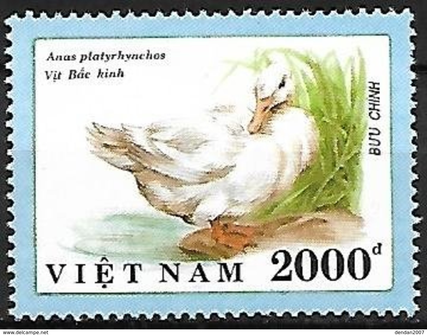 VIETNAM - MNH - 1990 :   Domestic Goose - Geese