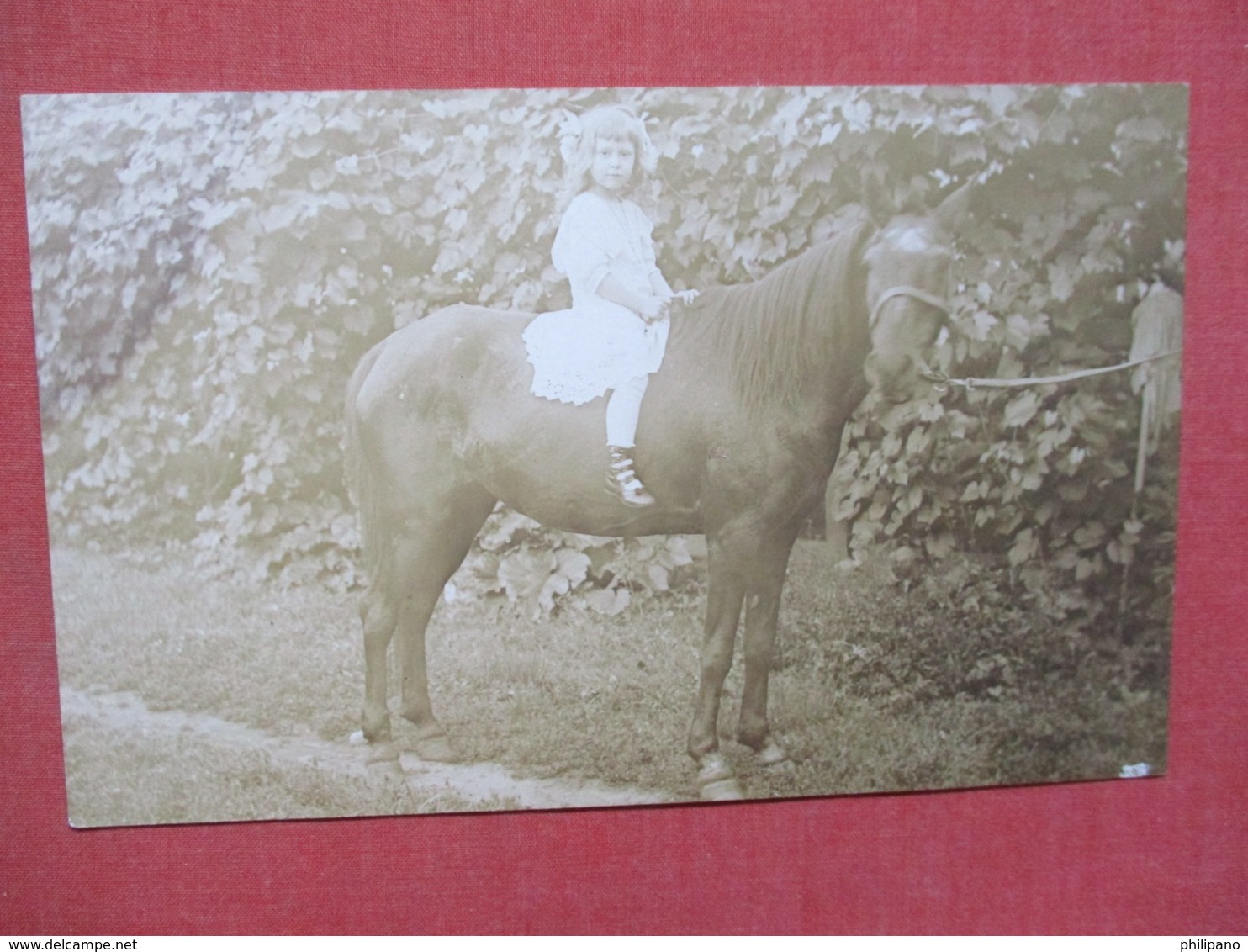 RPPC  Young Girl On Horse -  Ref   3656 - Paarden