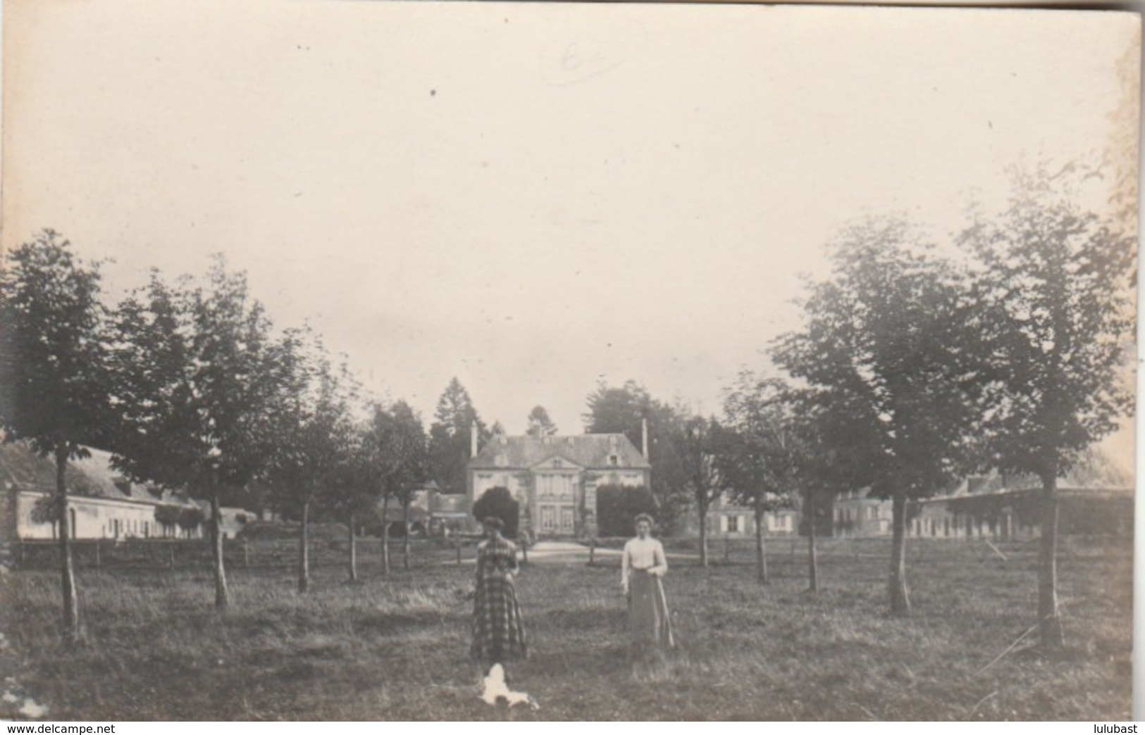 St. Michel-Thuboeuf : Carte-photo Du Château. (photograhe : Marcel GROSSE. Laigle). - Altri & Non Classificati