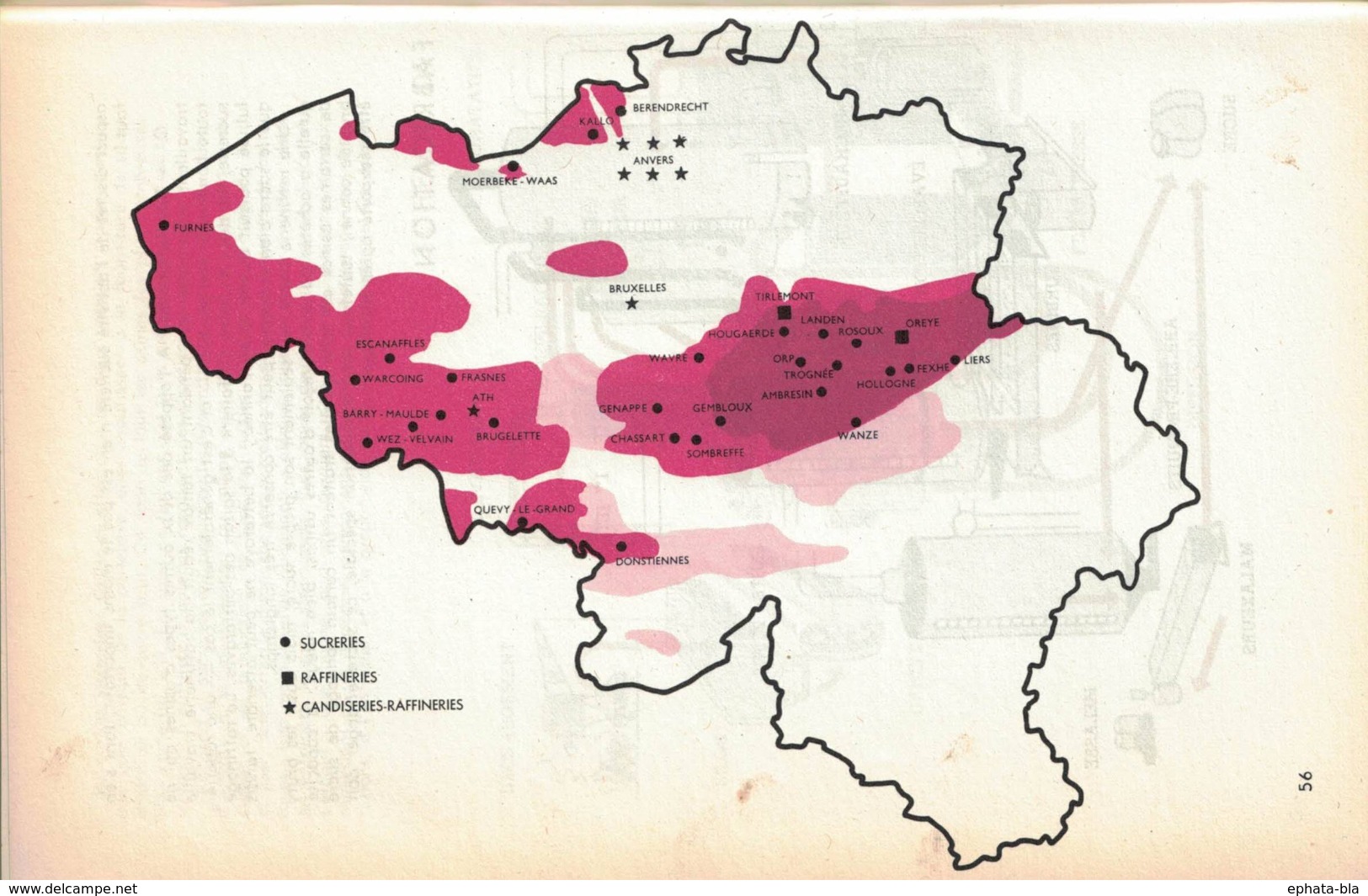 La Sucrerie Belge. Robert Roncart. Carte Avec Donstienne, Quévy-le-Grand, Barry-Maulde, Brugelette, Wez-Velvain, ... - Wetenschap