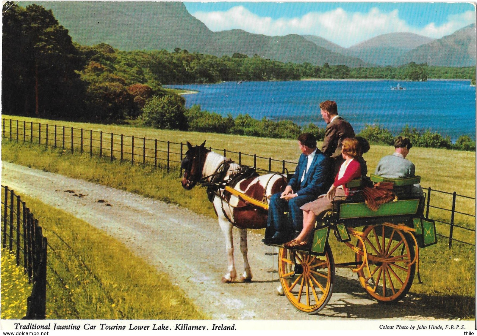 Traditional Jaunting Car Touring Lower Lake, Killarney - Cheval - Horse - Attelage - Kerry