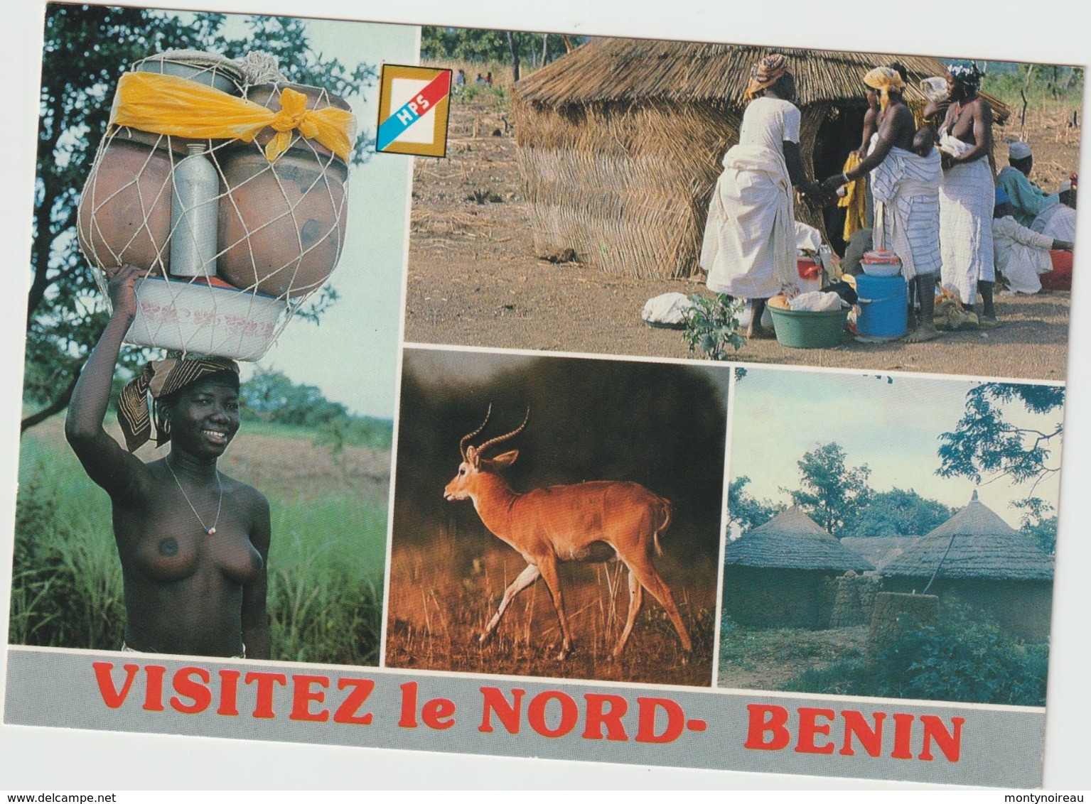 Afrique :  BENIN : Jeune Femme S Ein Nue , Village, Animal - Benin