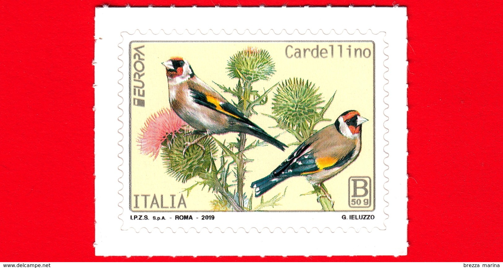 Nuovo - MNH - ITALIA - 2019 - Europa 2019 - Uccelli - Bird - Cardellino – B 50g - 2011-20:  Nuovi