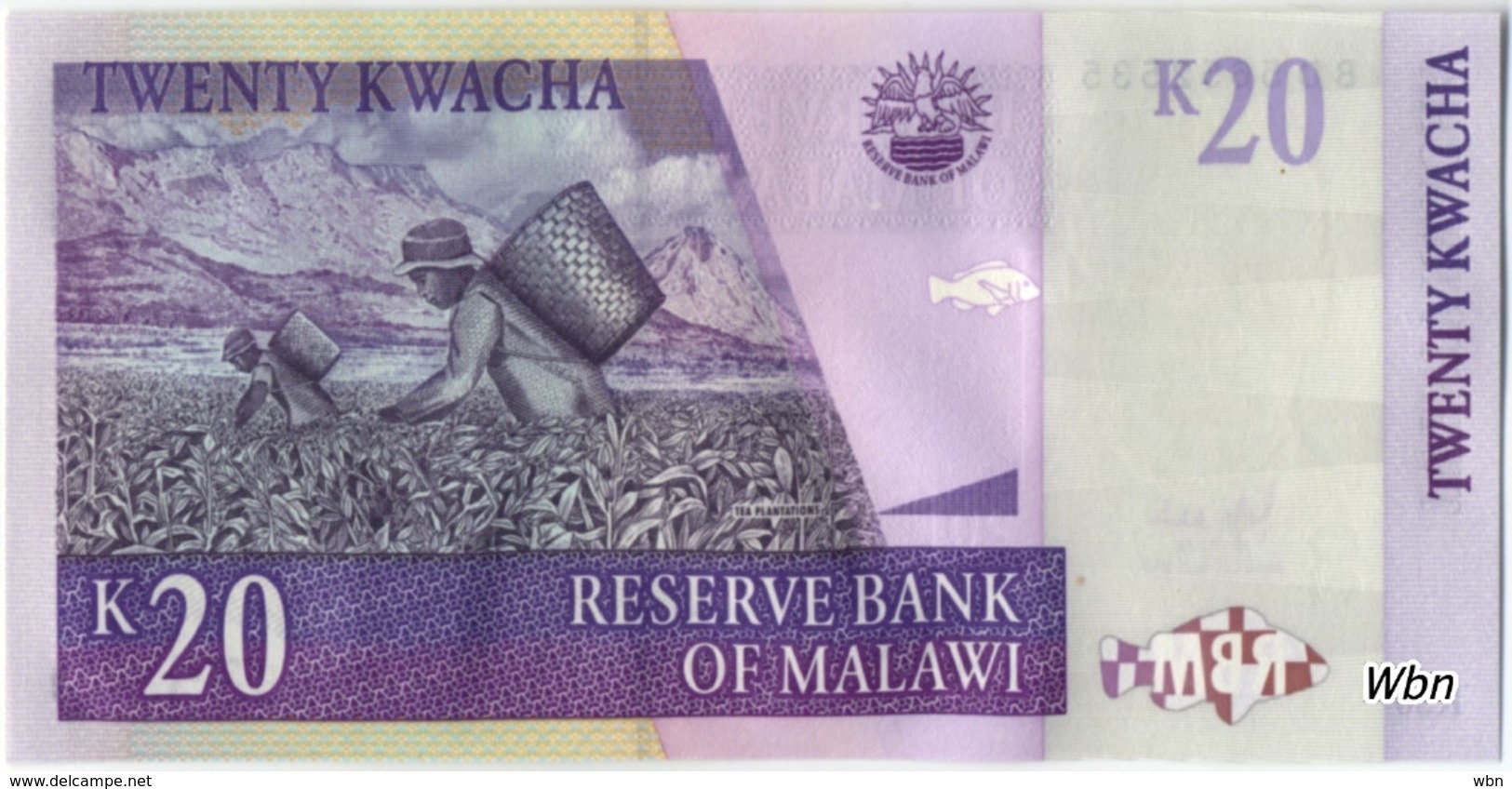 Malawi 20 Kwachas (P50) 2007 -UNC- - Malawi