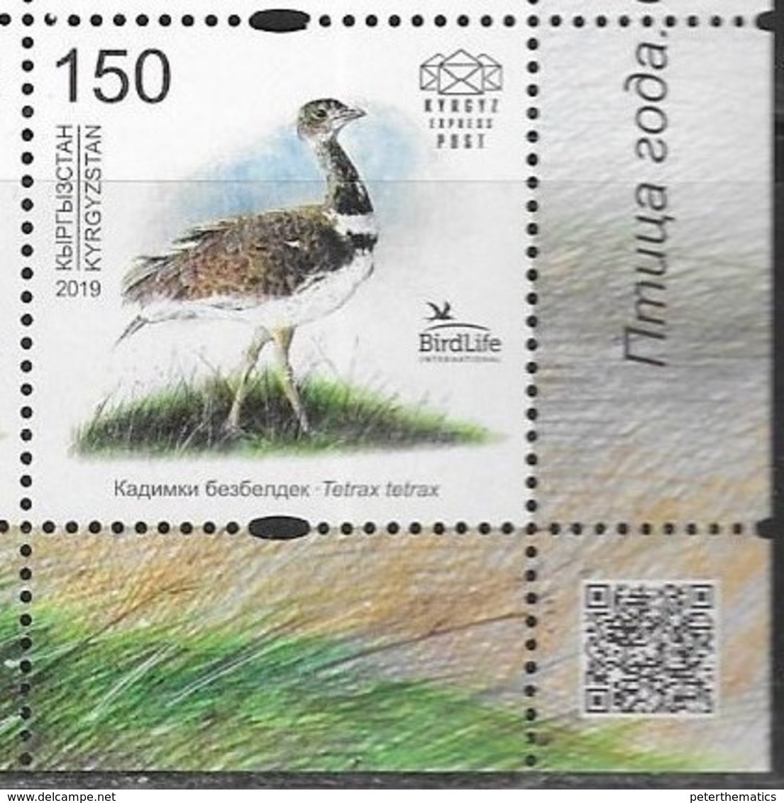 KYRGYZSTAN, 2019, MNH,BIRDS, LITTLE BUSTARD, BIRDLIFE INTERNATIONAL, 1v - Andere & Zonder Classificatie