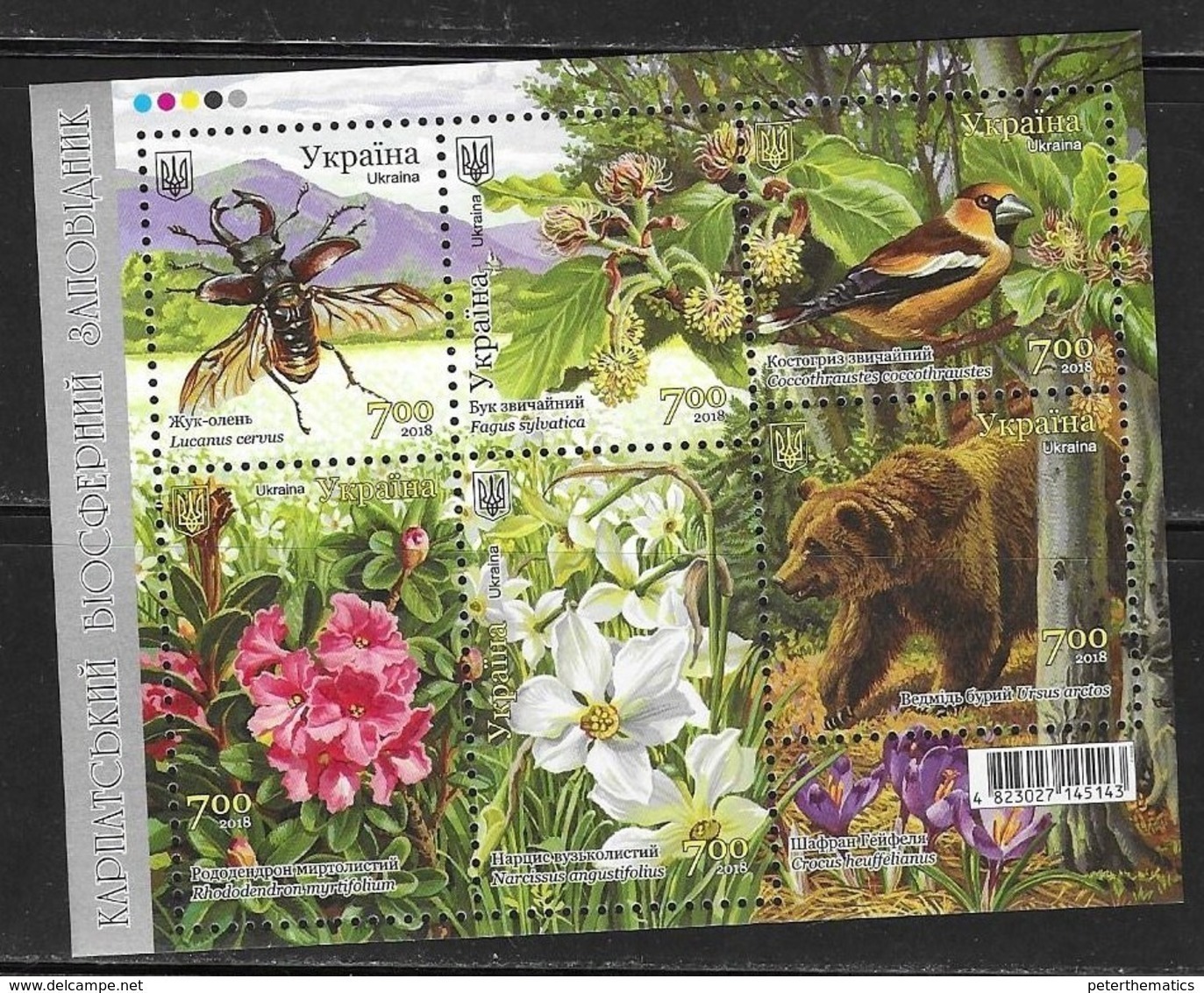 UKRAINE, 2018, MNH, CARPATHIAN BIOSPHERE RESERVE, MOUNTAINS, FLORA, FLOWERS, BIRDS, INSECTS, BEETLES, BEARS,SLT - Andere & Zonder Classificatie