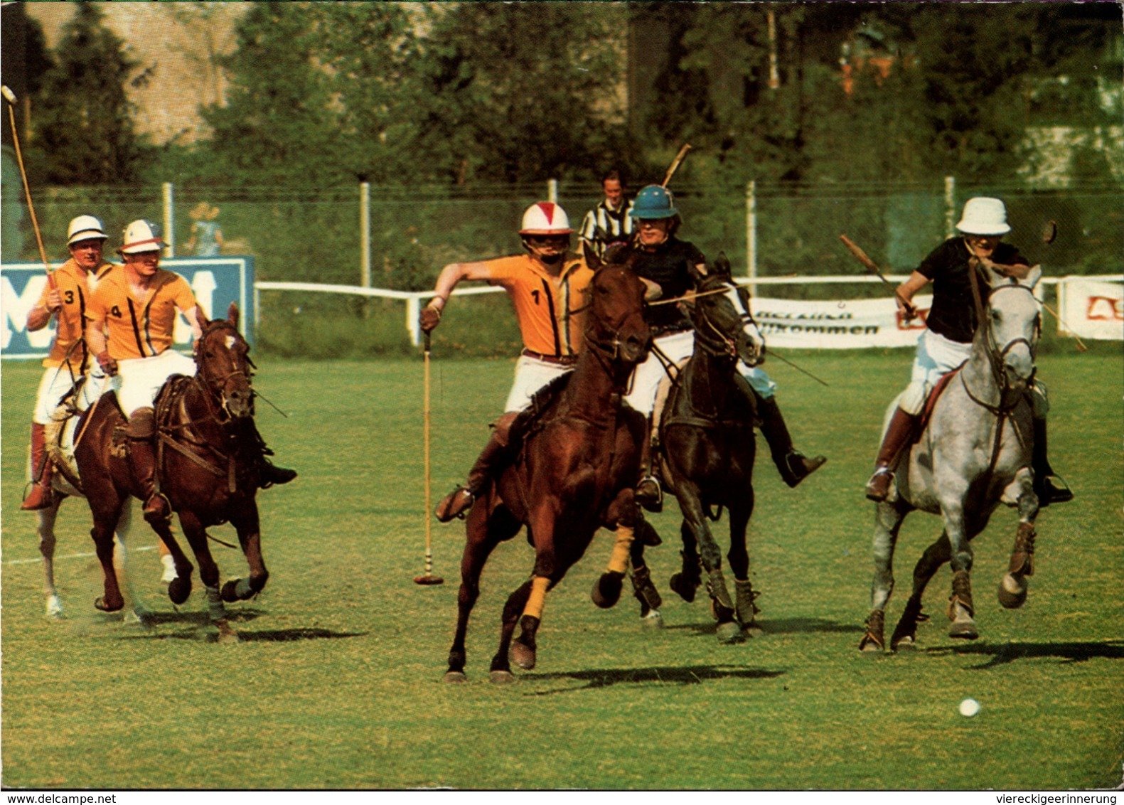 ! Moderne Ansichtskarte 1983 Lier, Polo, Sport, Pferde, Horses - Reitsport