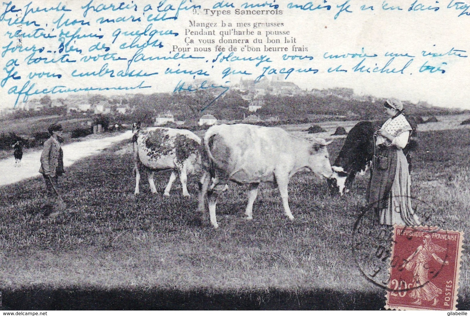 18 - Cher - SANCERRE - Types SANCERROIS - Vaches Au Paturage - Sancerre