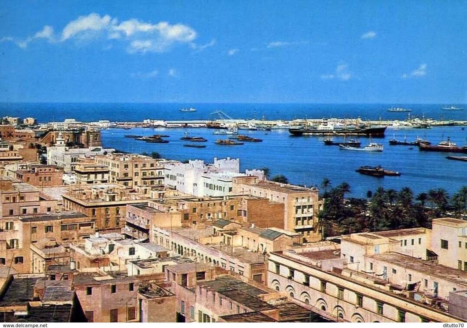 Tripoli - Libya - Panorama - Formato Grande Non Viaggiata – E 13 - Libia