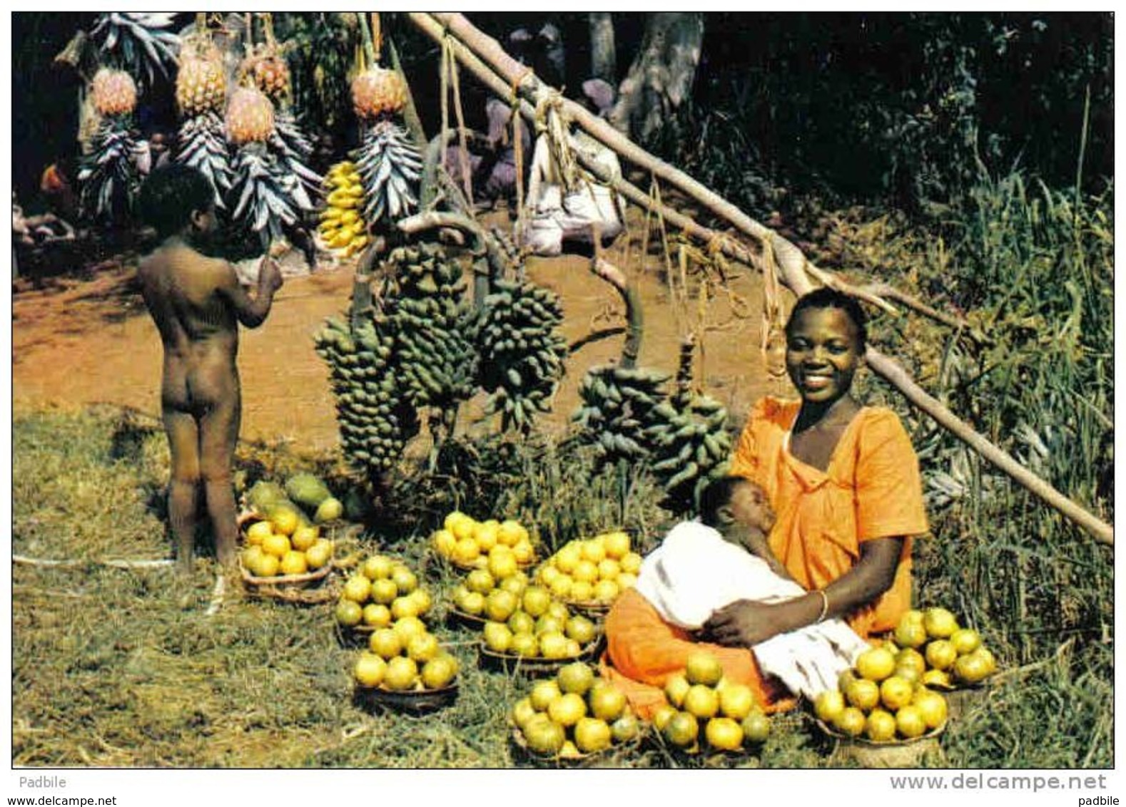 Carte Postale  Afrique En Couleurs Jeune Maman Nue  Hoa-Qui N° 3477   BT3 - Non Classés