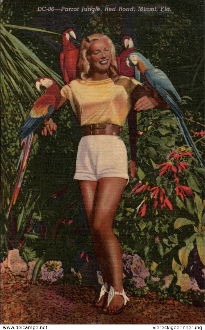! Old Postcard, Parrot Jungle, Miami, Florida, Papageien, USA, Woman - Miami