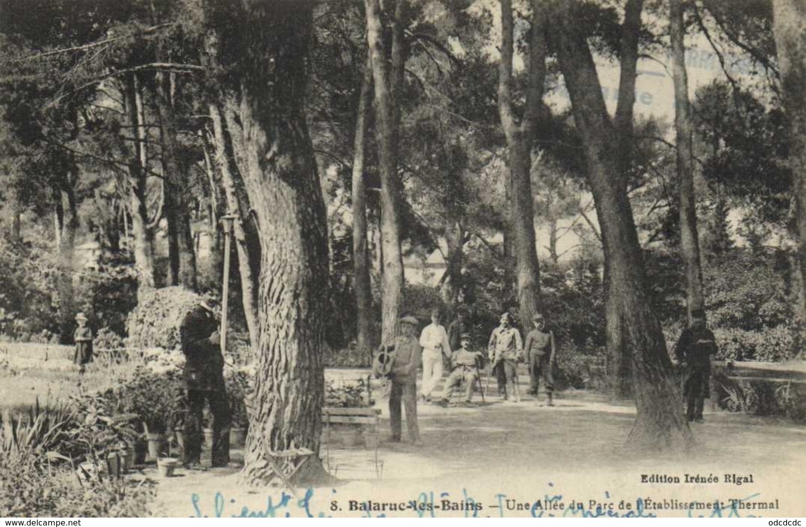 Balaruc Les Bains Une Allée Du Parc De L'Etablissement Thermal RV Cachet 122e Rrgiment Territorial Compagnie Speciale - Autres & Non Classés