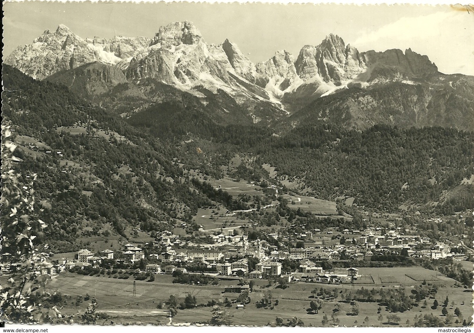 AGORDO  BELLUNO  Panorama  Gruppo Del San Sebastiano - Belluno