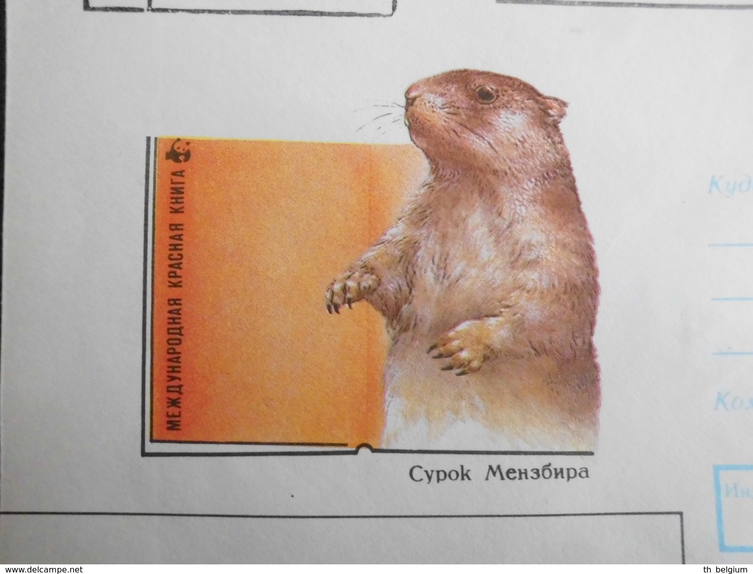 Russia USSR 1993 - Letter WWF Eurasian Beaver (2) - Lettres & Documents