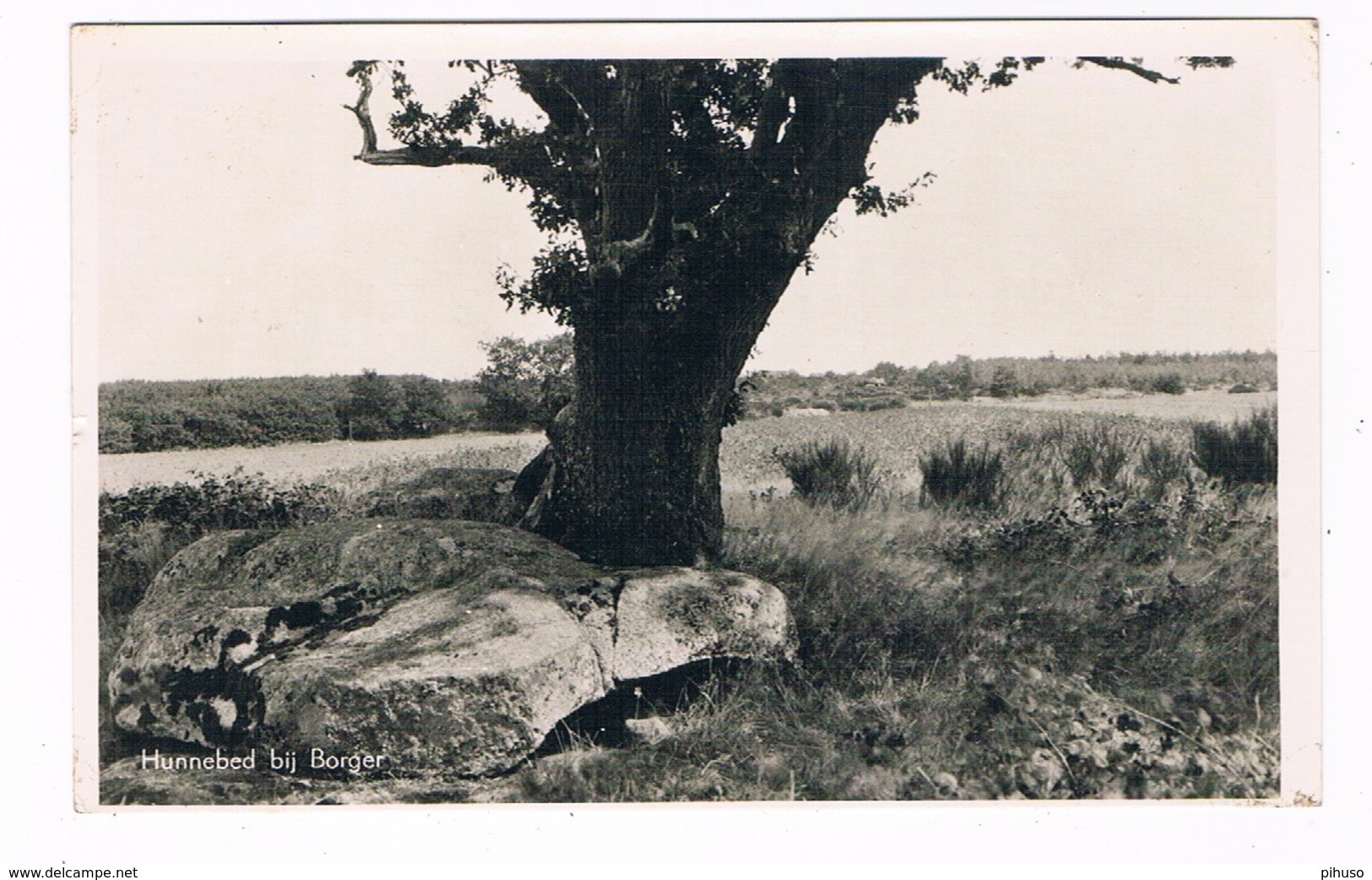 HUN-31   DOLMEN At BORGER ( Hunebed ) - Dolmen & Menhirs