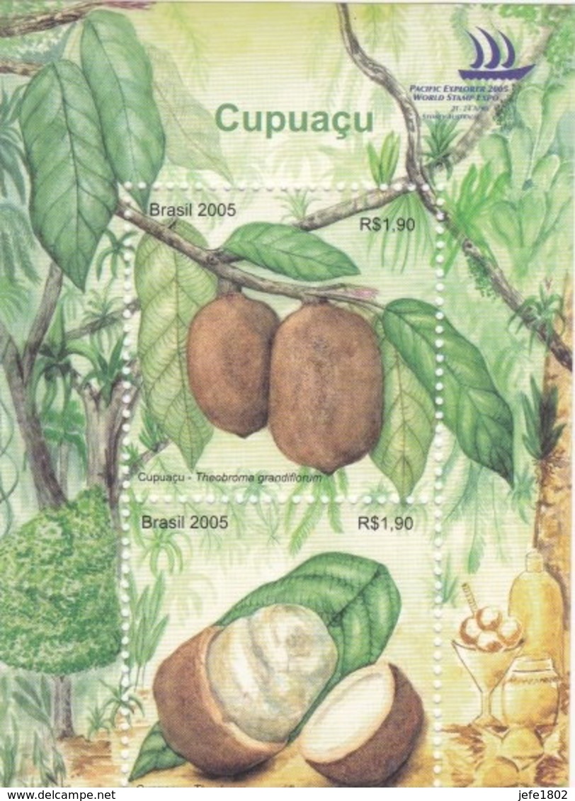 Cupuaçu - The Exotic Flavor Of The Brazilian Amazonia - Fruits