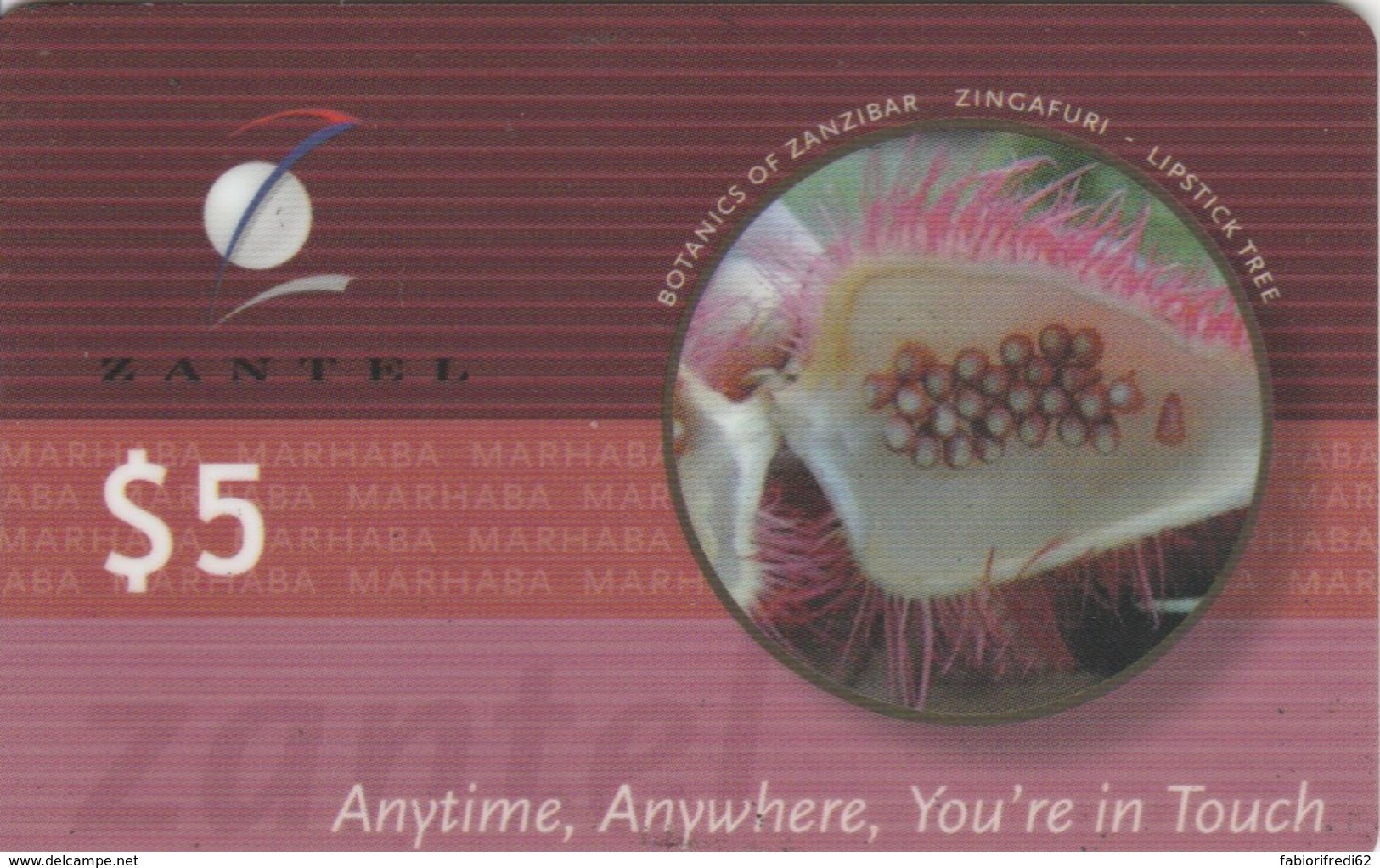 PREPAID PHONE CARD ZANZIBAR (E51.28.7 - Tanzania