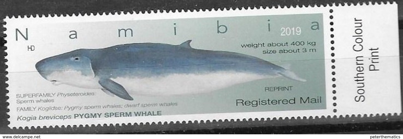 NAMIBIA, 2019, MNH, WHALES, PYGMY SPERM WHALE, 1v REPRINT - Whales