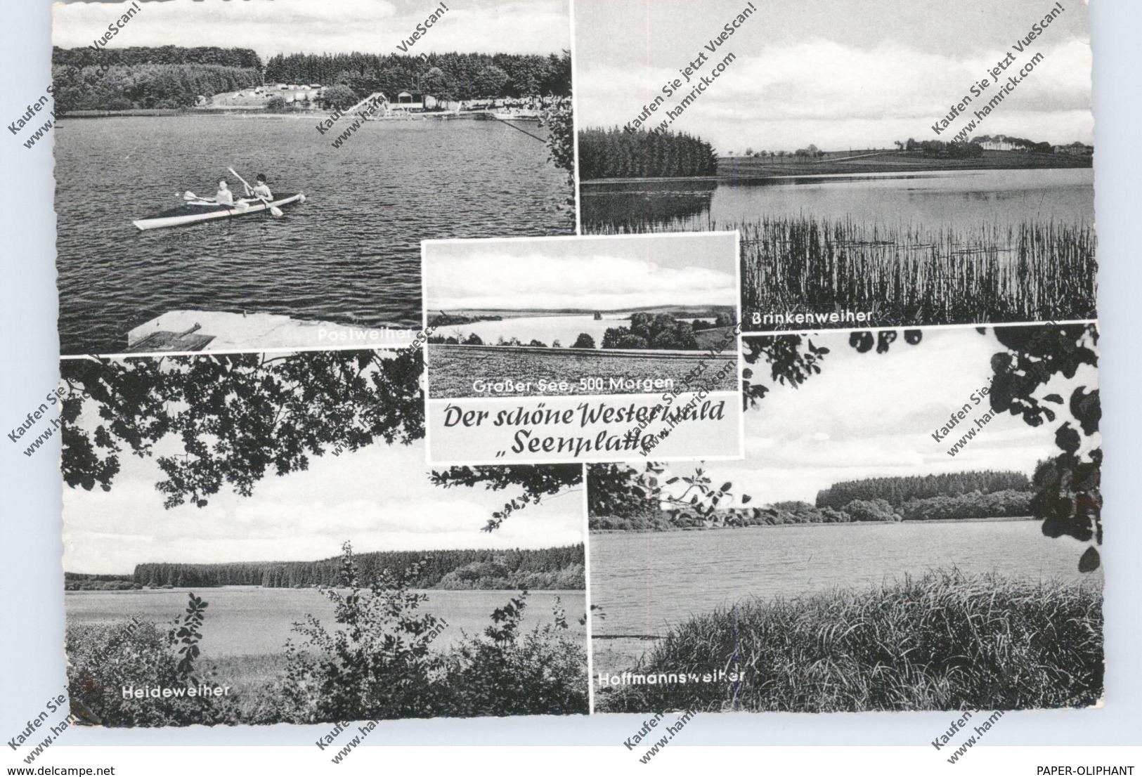 5418 SELTERS - STEINEN, Brinkenweiher, Westerwälder Seenplatte - Montabaur