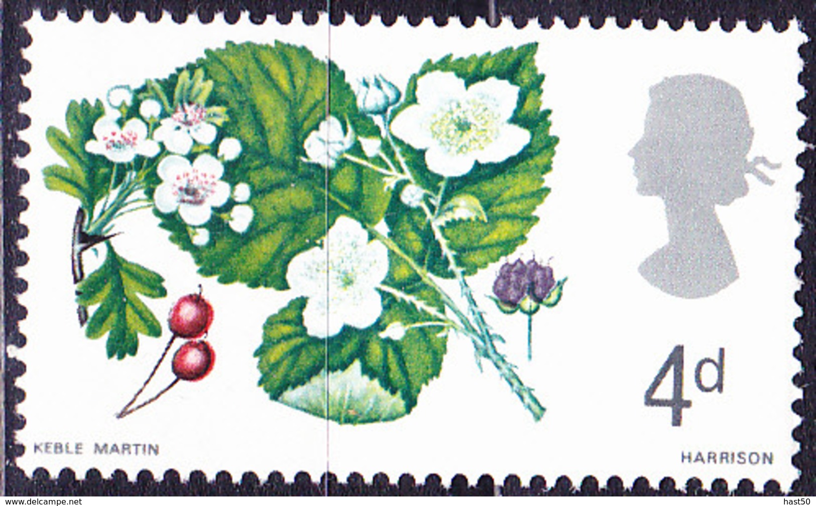 Großbritannien Great Britain Grande-Bretagne - Weißdorn (Crataegus Monogyna) (MiNr: 446 X) 1967 - Postfrisch MNH - Unused Stamps