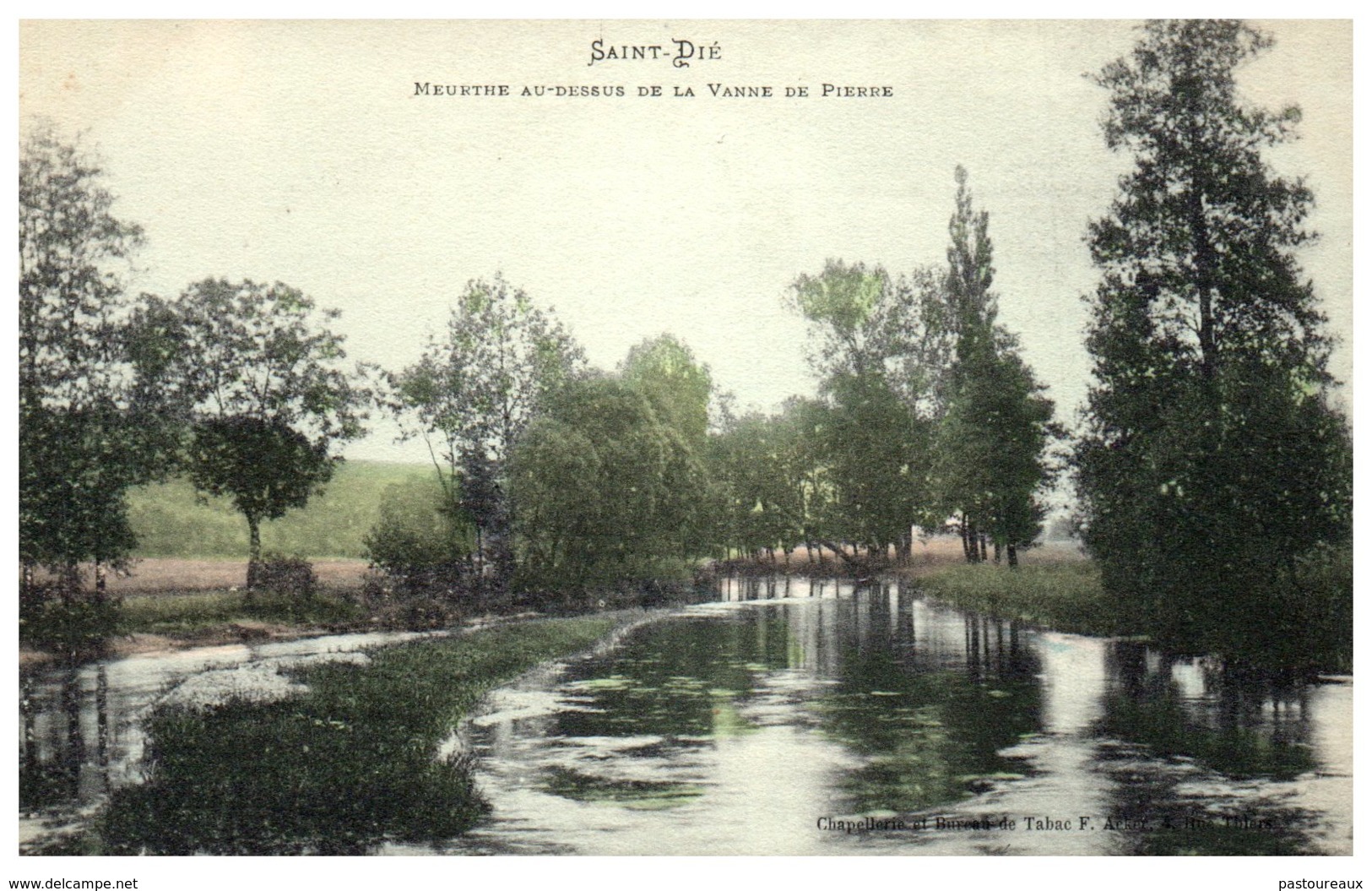 88 SAINT DIE - Meurthe Au Dessus De La Vanne De Pierre - Saint Die