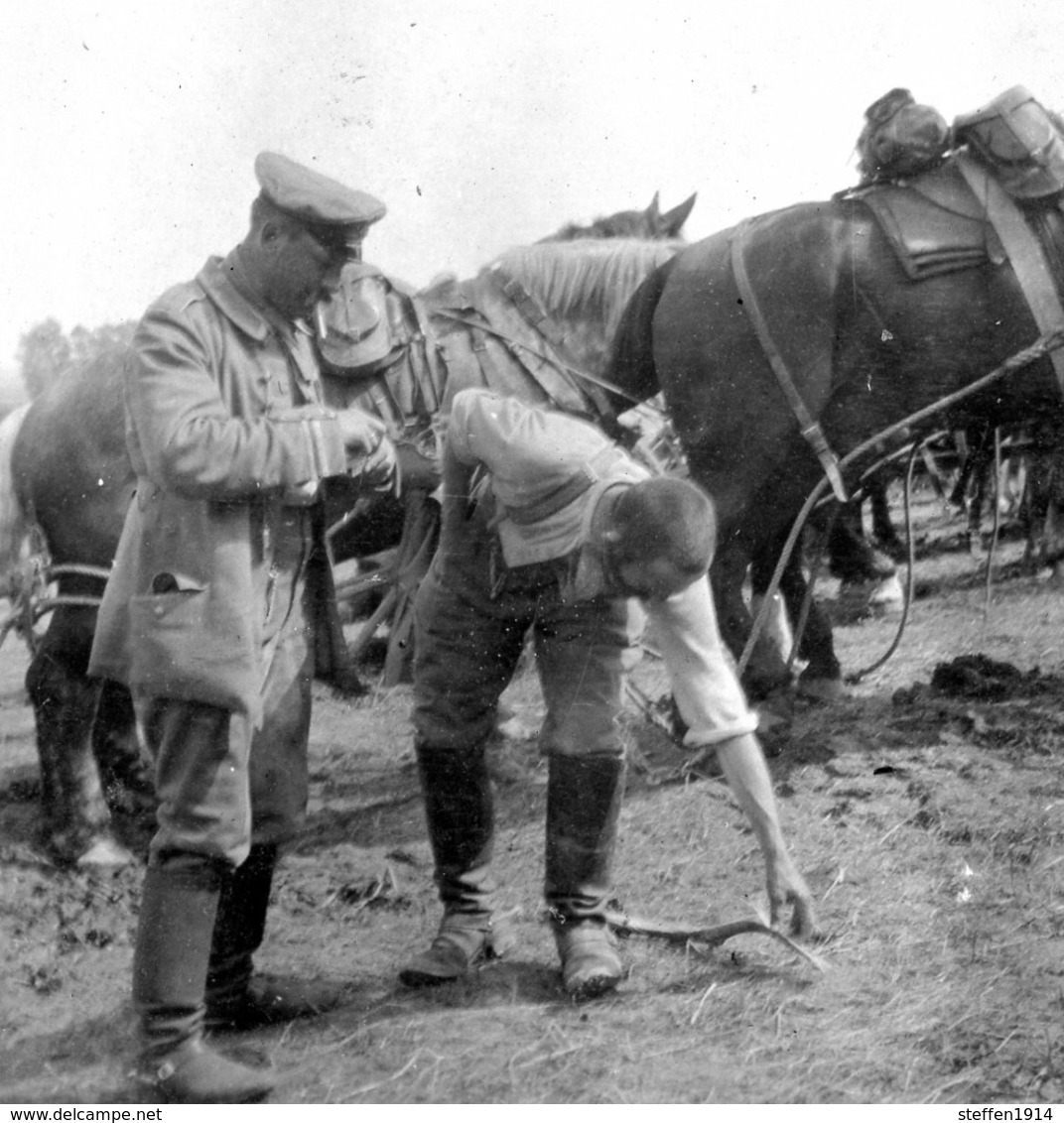 (1914-1918) 12 PHOTOs allemande-France-KB.Fuss Art.Nr.1-Barbas Meurthe  Moselle Stellungen Geschütze