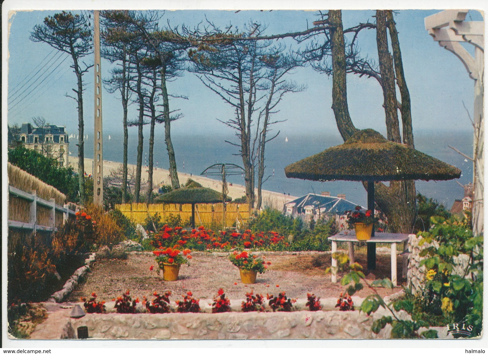 HOULGATE - Jardin De La VillaTitania Et La Mer (20736) - Houlgate