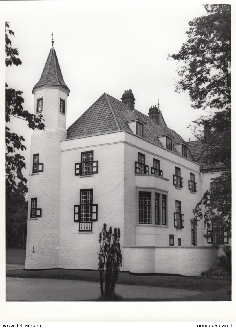 Boekhoute. Chateau Ter Leyen. Foto 23,5 X 18 Cm. - Lieux