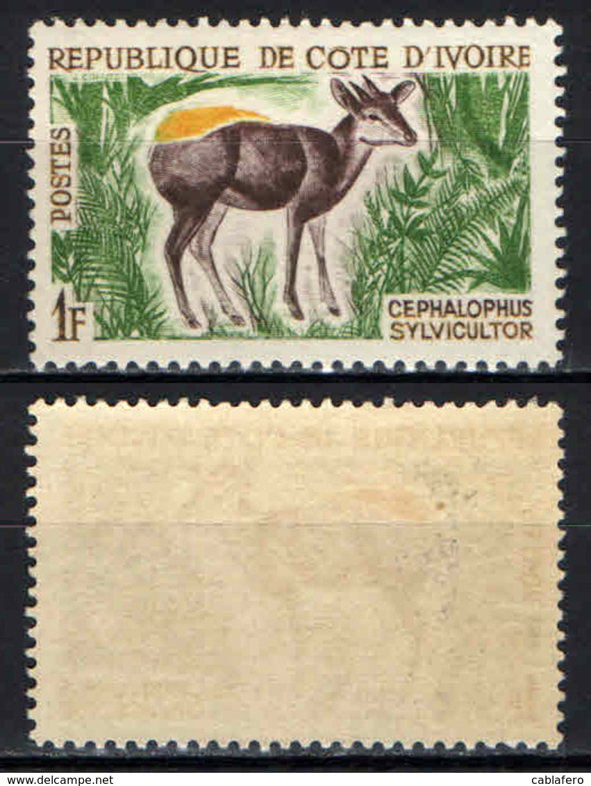 COSTA D'AVORIO - 1963 - CEPHALOPHUS SYLVICULTOR - MNH - Costa De Marfil (1960-...)