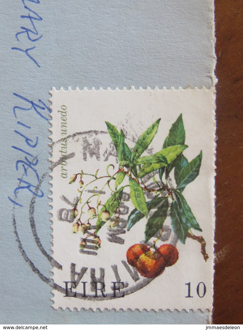 Ireland 1978 Cover To England - Fruit Strawberry Tree - Lettres & Documents