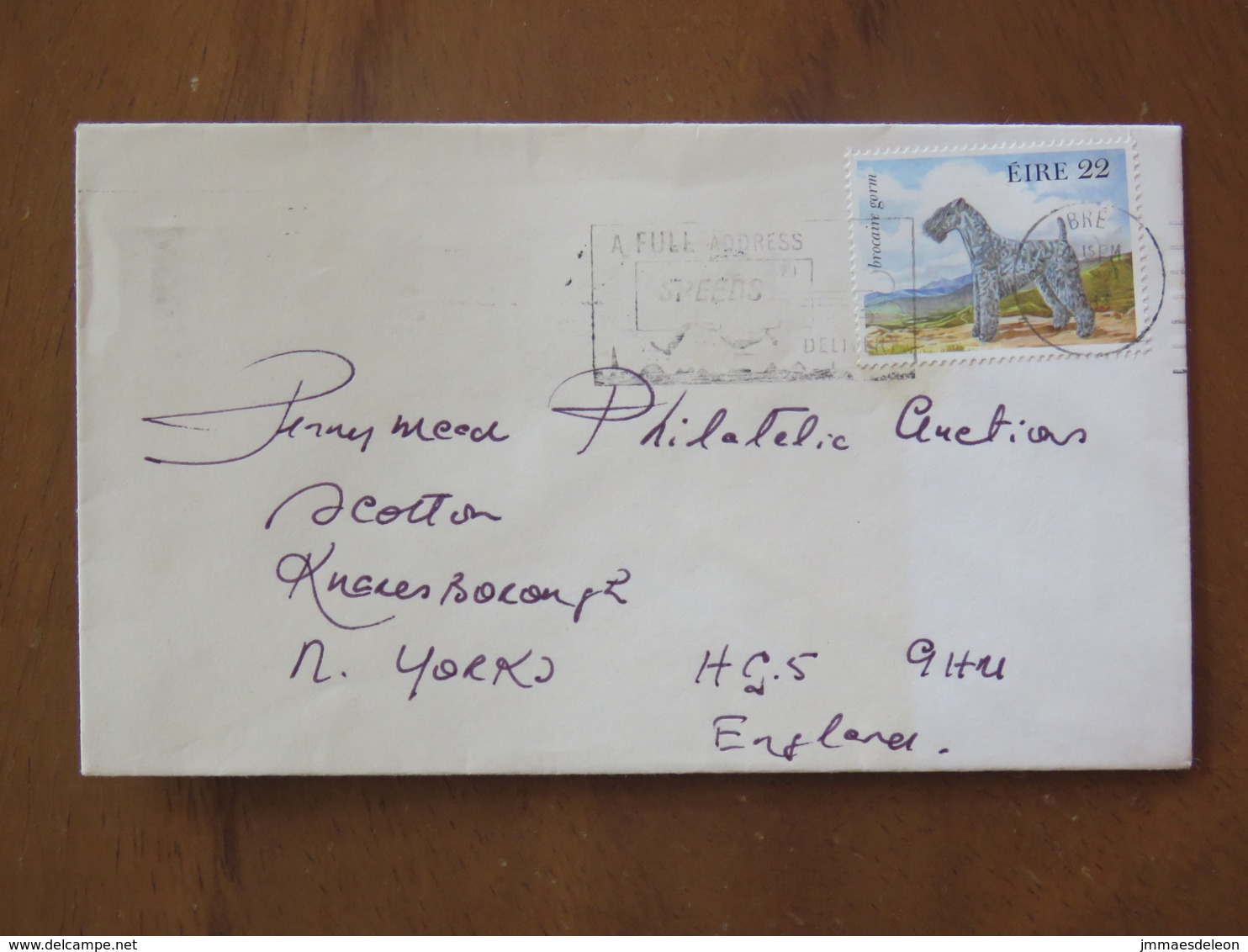 Ireland 1983 Cover To England - Dog Brocaire Gorm Terrier - Lettres & Documents