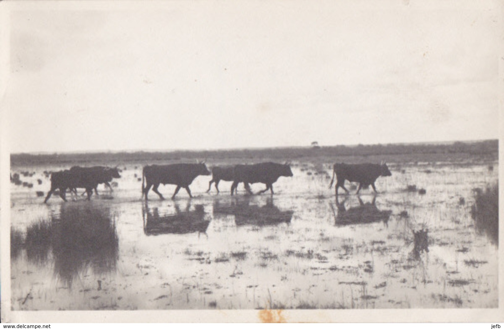 ARLES - Des Taureaux - Foto George - Torero - Arles