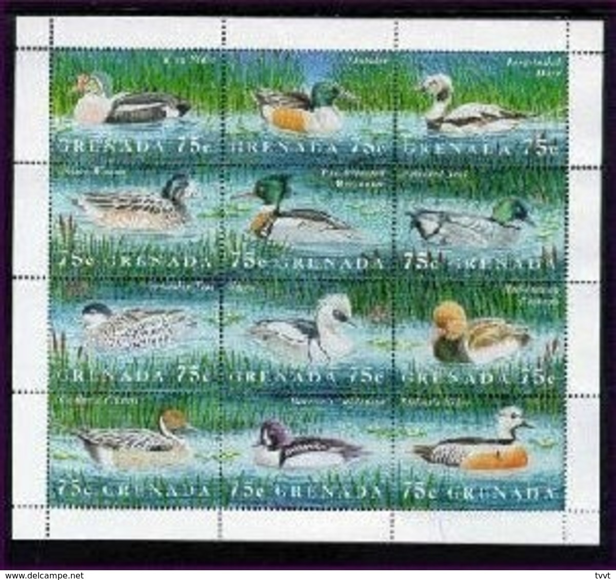 Grenada, 1995. [gra9502] Birds (s\s+block) - Entenvögel