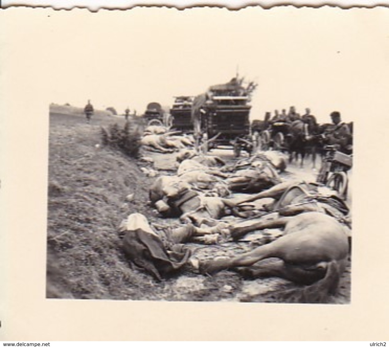 Foto Deutsche Soldaten - Tote Pferde Und Gefallene Soldaten - Fuhrwerke - 2. WK -  5*4cm (43877) - Krieg, Militär