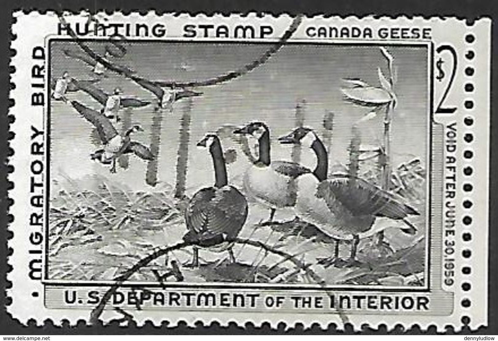 US 1970   RW25  $2   Canada Geese Hunting Stamp Used   2016 Scott Value $12 - Duck Stamps