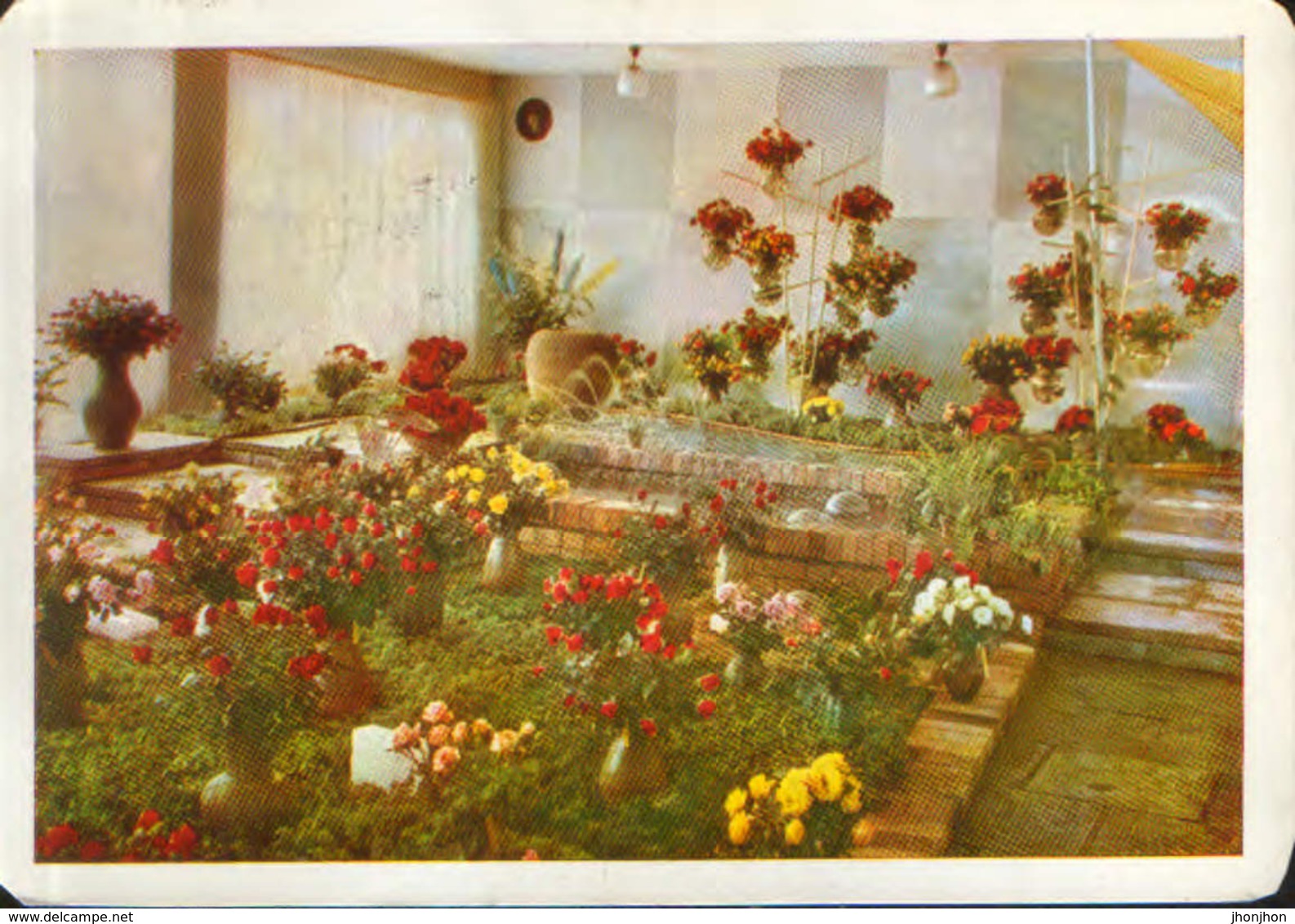 Germany - Postcard Used 1965 - Forst - Rosengarten - Roses Look   - 2/scans - Forst