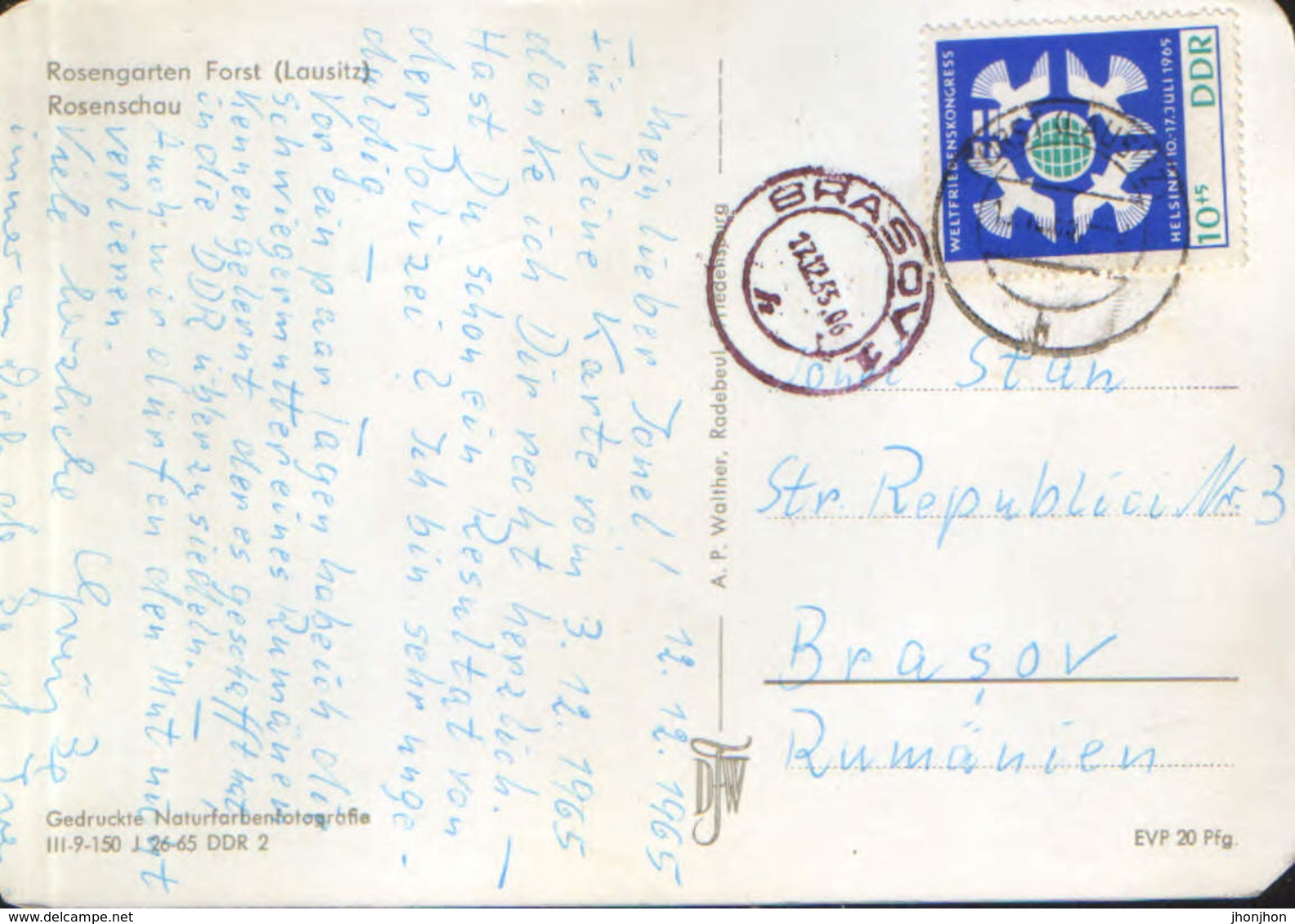 Germany - Postcard Used 1965 - Forst - Rosengarten - Roses Look   - 2/scans - Forst