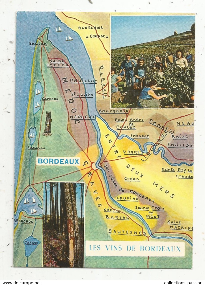 Cp , Carte Géographique , Les Vignobles De BORDEAUX ,les Vins De BORDEAUX ,multi Vues ,vierge , Ed. Arum - Landkarten