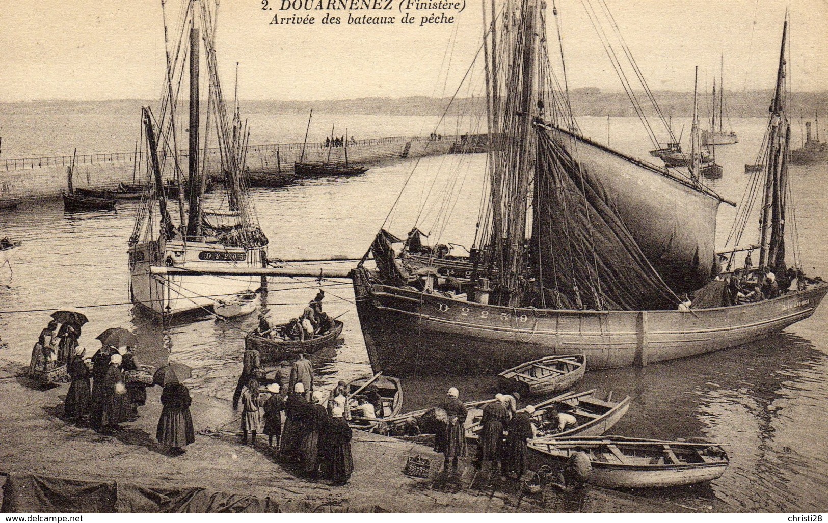 DPT 29 DOUARNENEZ Arrivée Des Bateaux De Pêche - Douarnenez