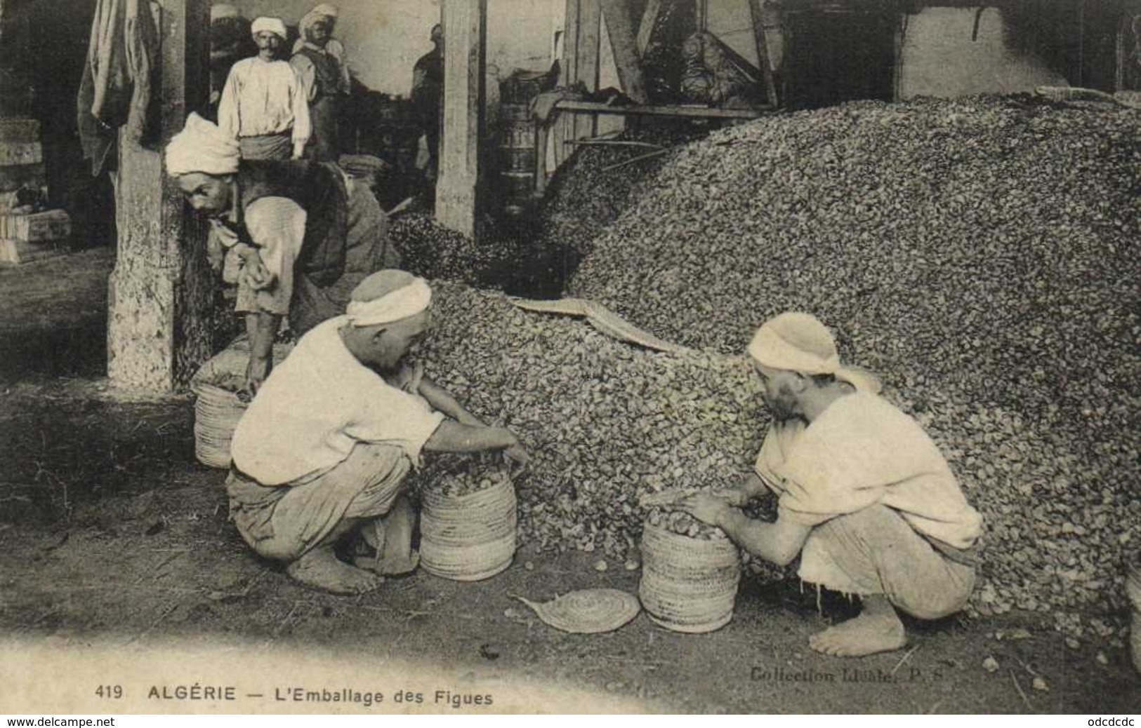 ALGERIE  L'Emballage Des Figues RV - Autres & Non Classés